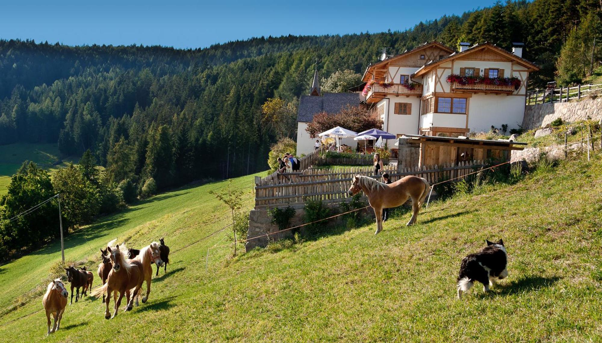 Gasthaus Bad Siess Longostagno Exterior foto